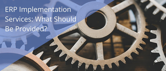 ERP implementation services: what should be provided?