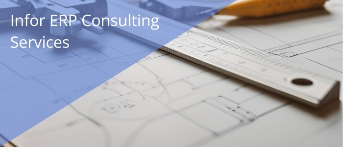 What do you get with Infor ERP Consulting services?